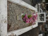 image of grave number 835233